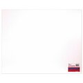 Carolina Pad 12006 22 in. X 28 in. White Premium Poster Board 288470